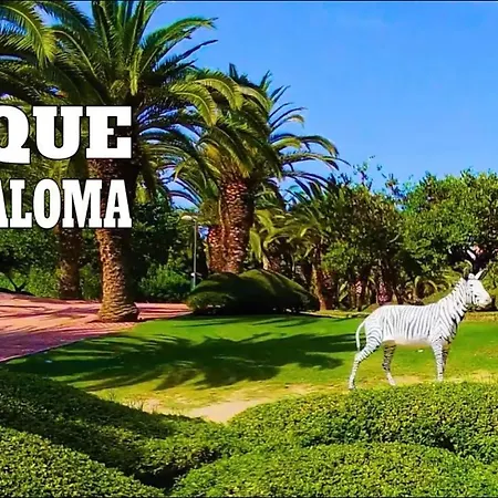 Lujoso Adosado Familiar En La Costa Del Sol